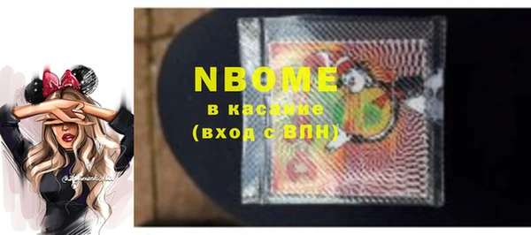 молекула духа Пересвет
