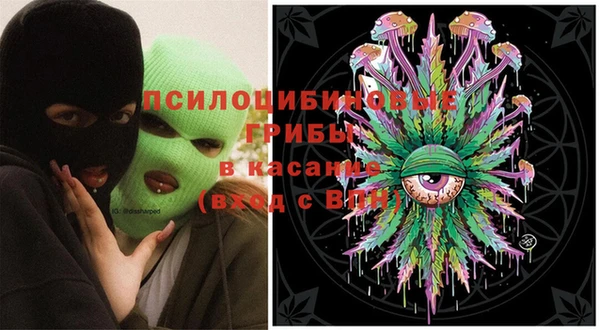 молекула духа Пересвет