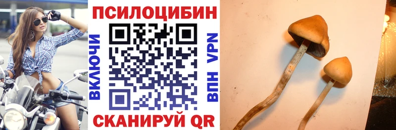 Галлюциногенные грибы прущие грибы  Кохма 